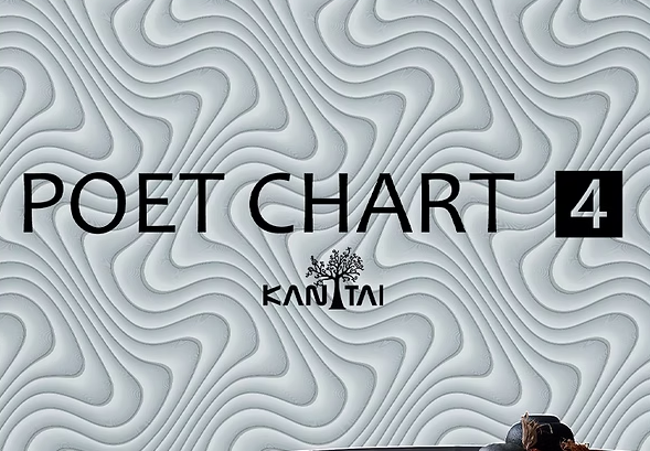 Papel de Parede Poet Chart 4 AD200601R