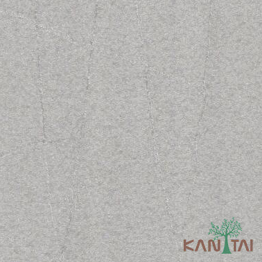 Papel De Parede Classici 2 2A092418R