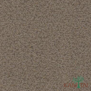 Papel De Parede Classici 2 2A092419R