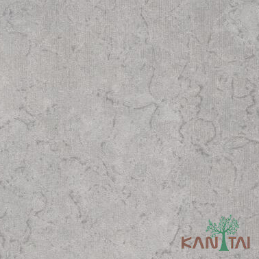 Papel De Parede Classici 2 2A092441R