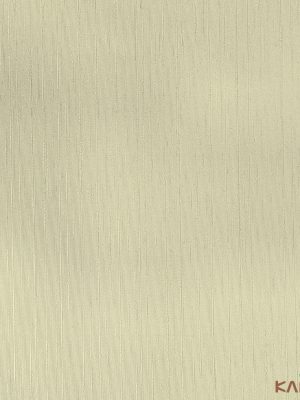 Papel De Parede Classici 5 5A096004R