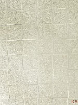 Papel De Parede Classici 5 5A096101R