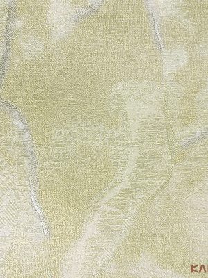 Papel De Parede Classici 5 5A096402R