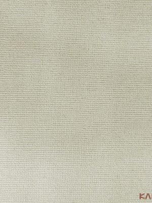 Papel De Parede Classici 5 5A096602R