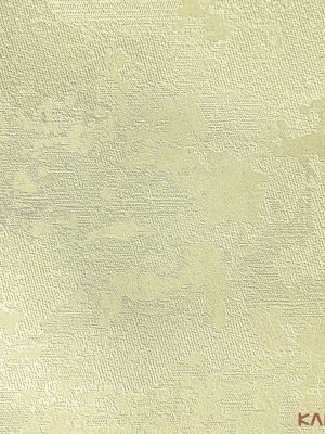 Papel De Parede Classici 5 5A096706R