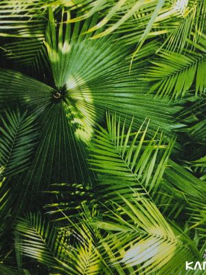 Papel de Parede Grace 4 GR401901