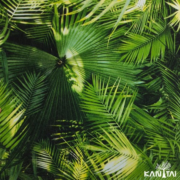 Papel de Parede Grace 4 GR401901