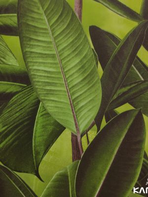 Papel de Parede Grace 4 GR402101