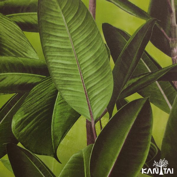 Papel de Parede Grace 4 GR402101