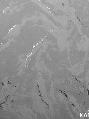 Papel De Parede White Swan WS101002R