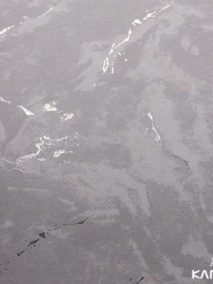 Papel De Parede White Swan WS101003R