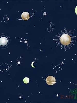 Papel de Parede YOYO II Infantil YY204601R