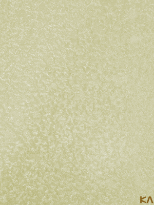 Papel De Parede Classici 4 4A095418R