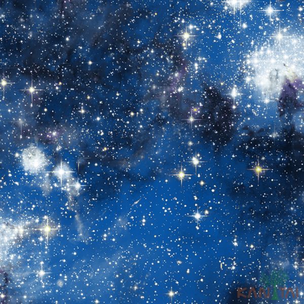 Papel De Parede Hello kids HK223001R