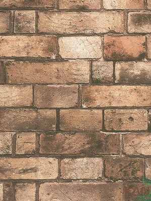 Papel De Parede Stone Age SN600601R