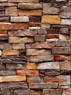 Papel De Parede Stone Age SN601201R