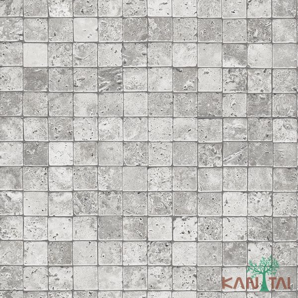 Papel De Parede Stone Age SN601901R