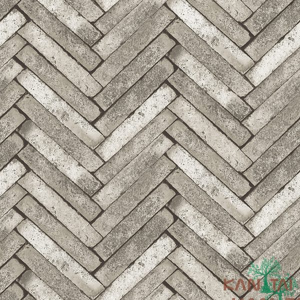 Papel De Parede Stone Age SN602201R