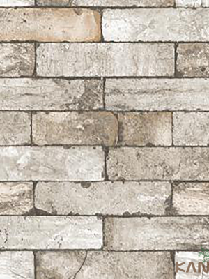 Papel De Parede Stone age II SN604501R