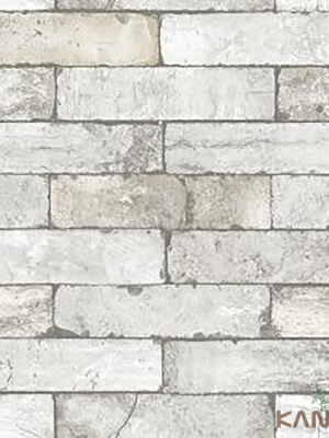 Papel De Parede Stone age II SN604502R