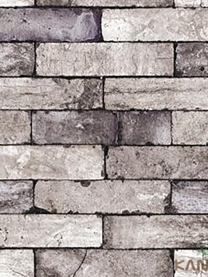 Papel De Parede Stone age II SN604503R