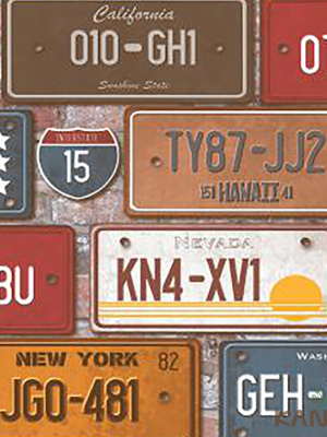 Papel De Parede Stone age II SN604701R