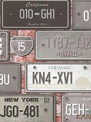 Papel De Parede Stone age II SN604702R