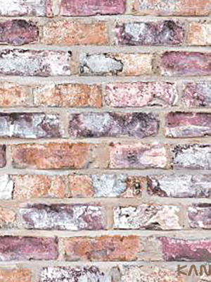 Papel De Parede Stone age II SN604801R