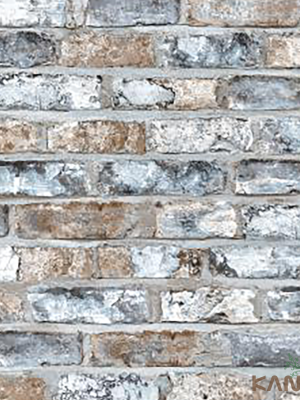 Papel De Parede Stone age II SN604804R