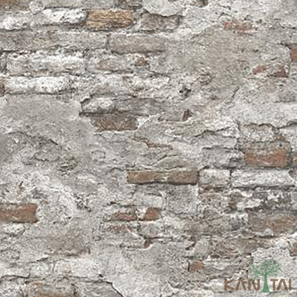 Papel De Parede Stone age II SN605002R