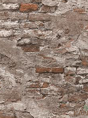 Papel De Parede Stone age II SN605003R