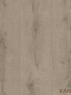 Papel De Parede Stone age II SN605102R