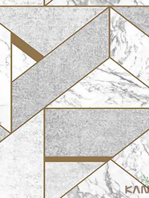 Papel De Parede Stone age II SN606001R