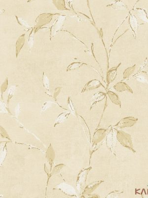 Papel De Parede Verona I VR980702T